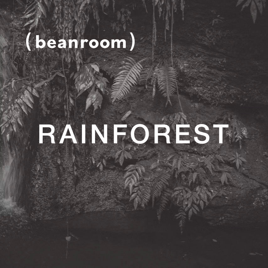 棲地雨林 Rainforest|中焙
