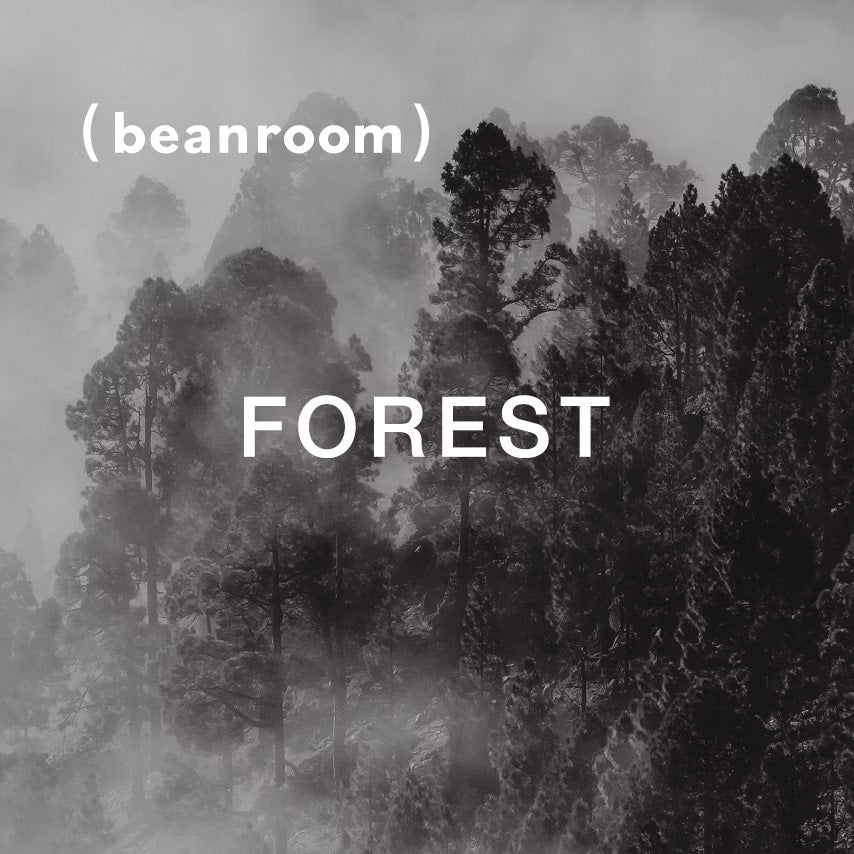 迷境森林 Forest|深焙